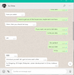 Captura whatsapp.PNG