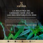XIFRA fraude.jpg
