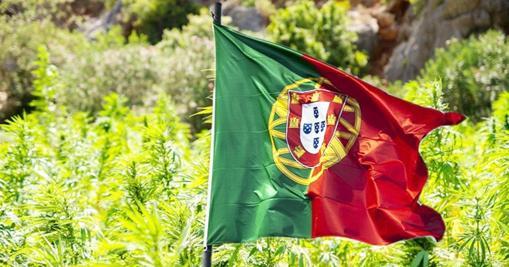 www.cannabisesaude.com.br