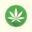thecbdpowers.com