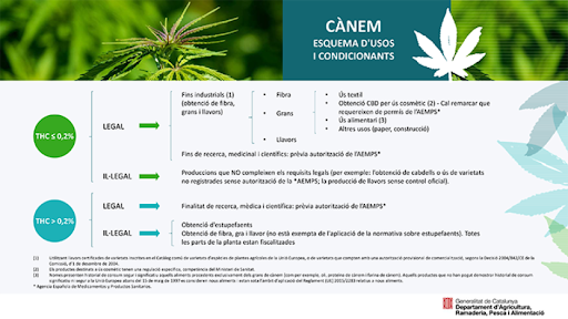 casaparaula.com