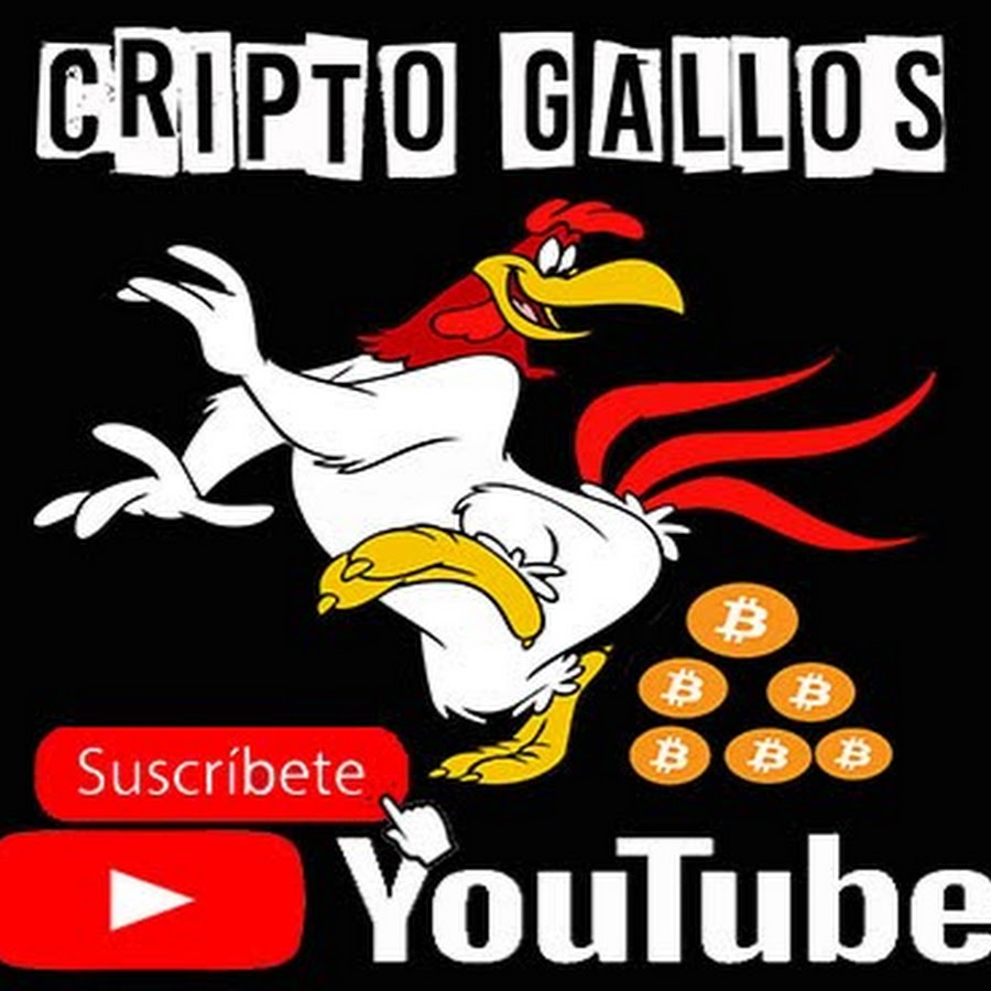 www.youtube.com
